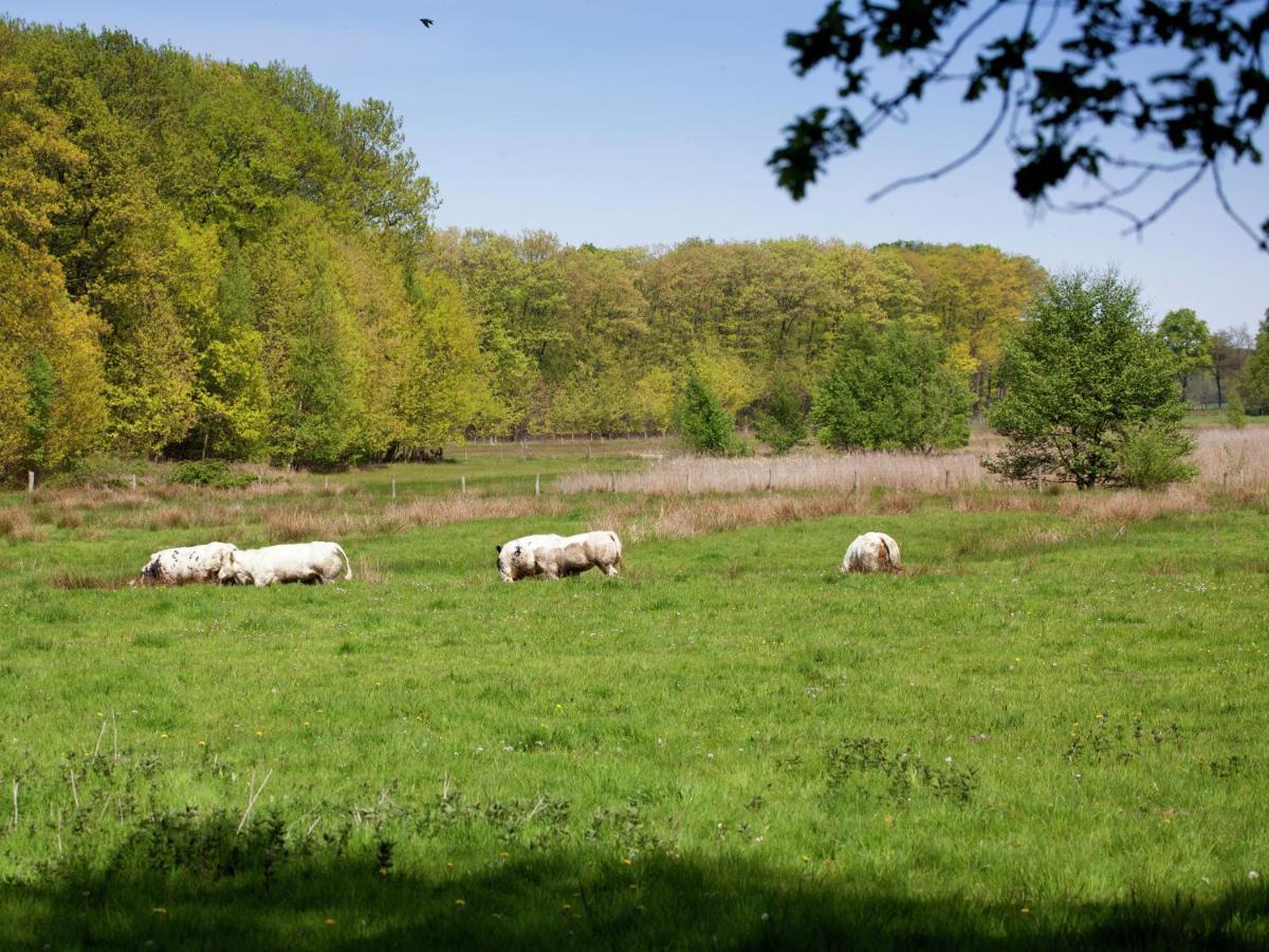 Magnificent Farmhouse In Sint Joost Holiday home